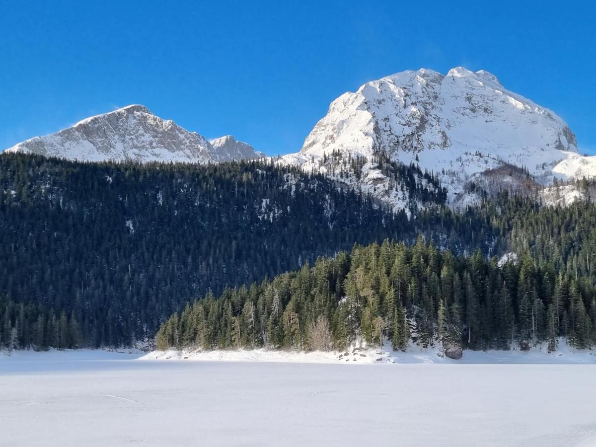 Black Lake Chalet Žabljak Eksteriør bilde
