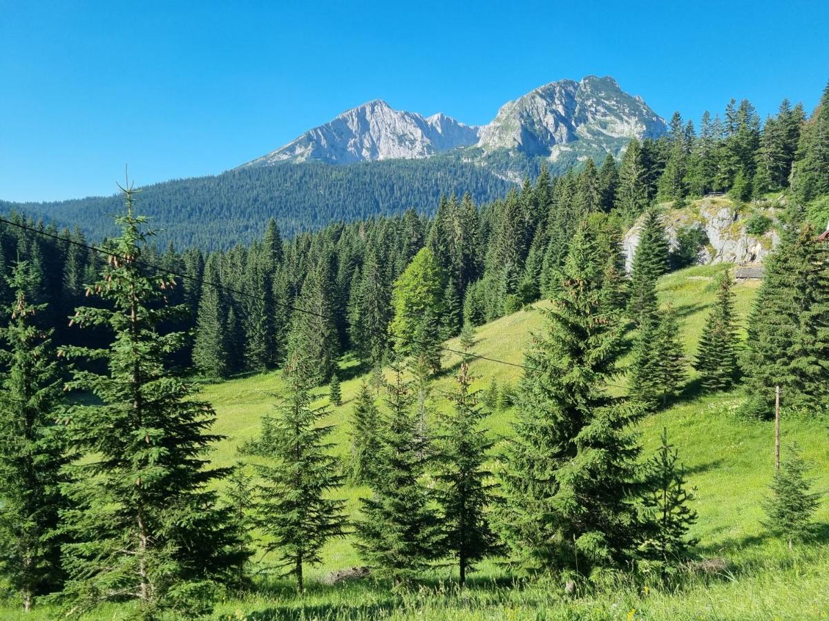 Black Lake Chalet Žabljak Eksteriør bilde